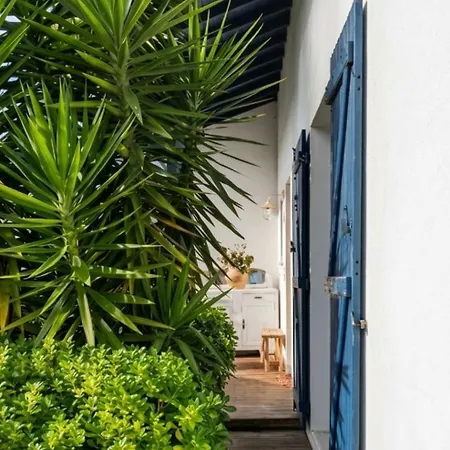 Avec Piscine Maison Etxecosy Bed & Breakfast 3*